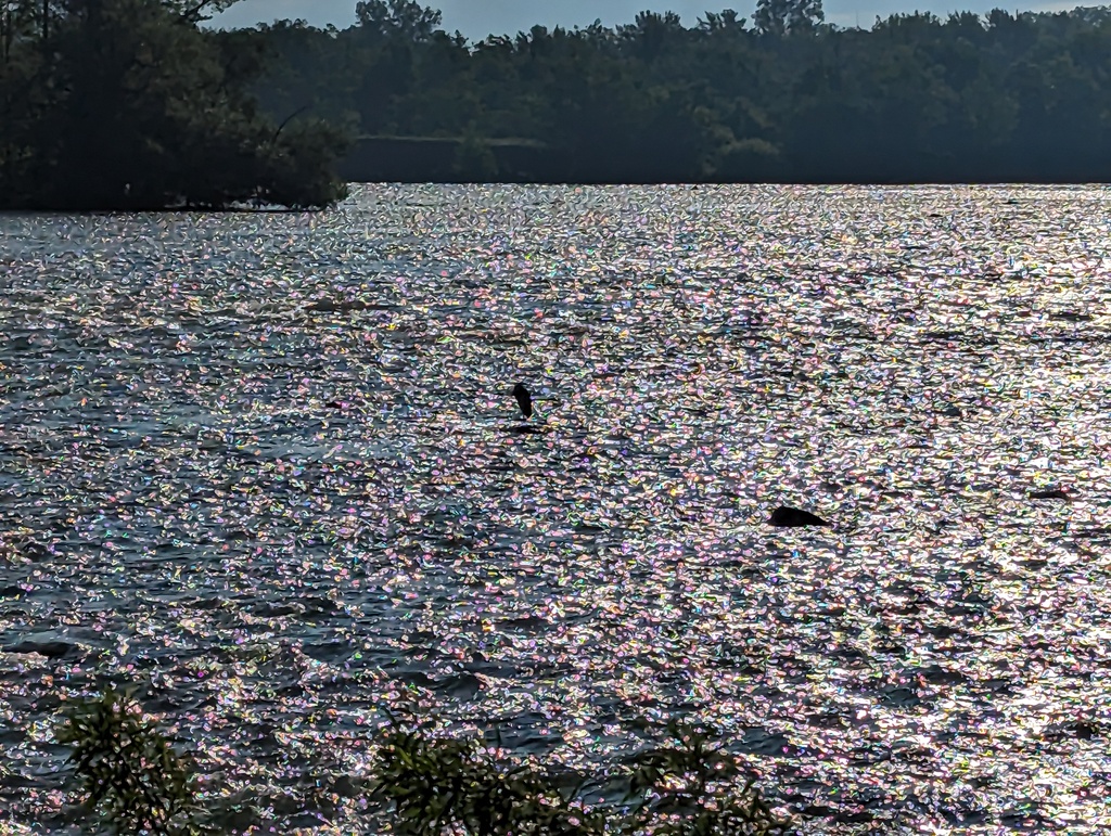 Figure 159: Richelieu River rapids at Chambly QC
