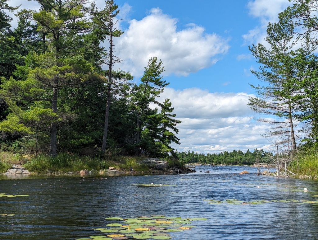 Figure 250: Kayaking around Loon Island, Massasagua Provincial Park, ON
