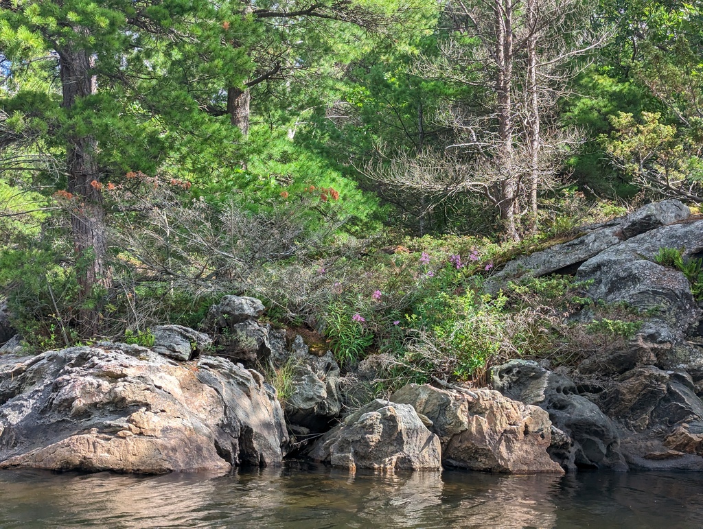 Figure 252: Kayaking around Loon Island, Massasagua Provincial Park, ON